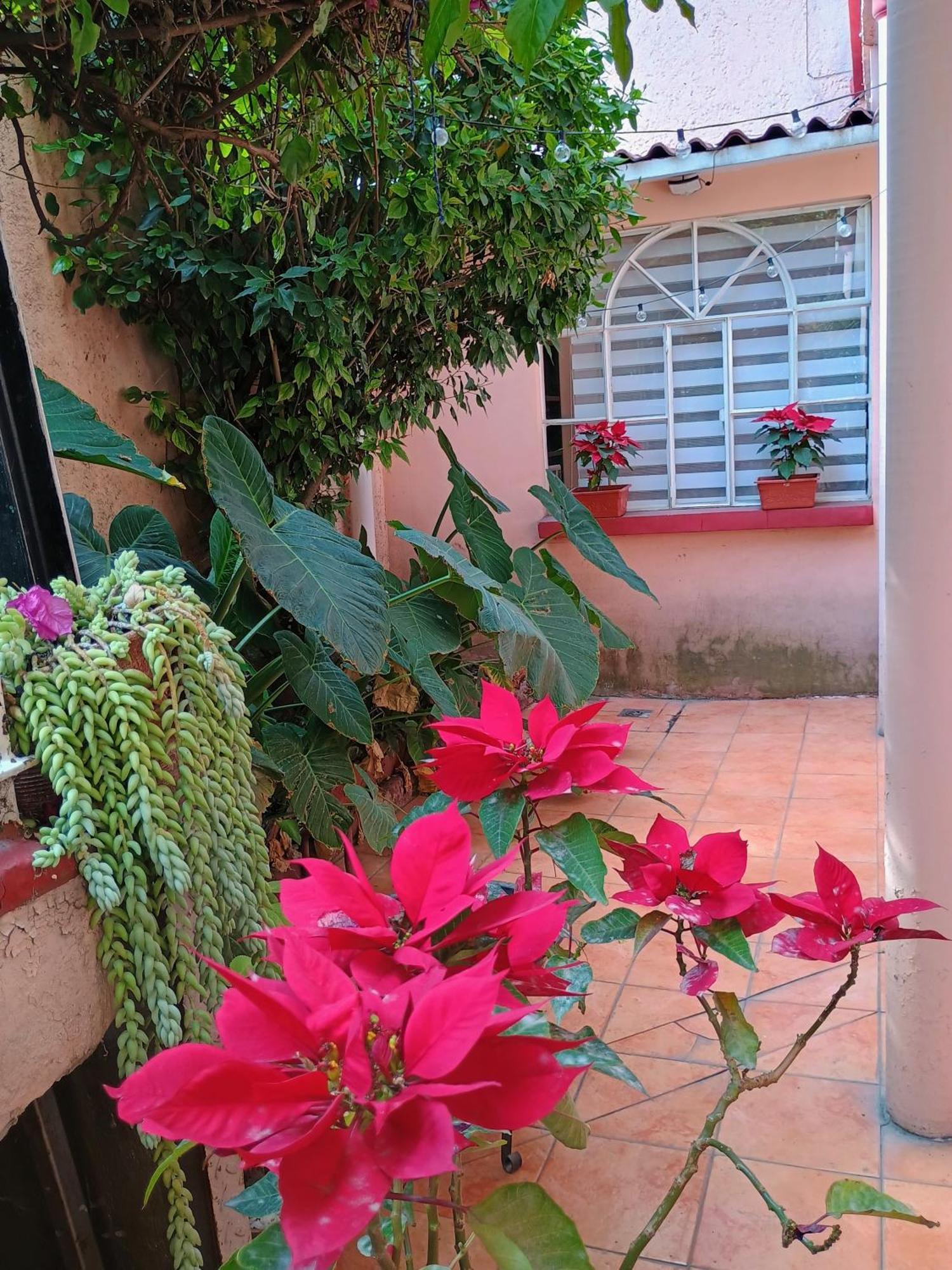 Relax Apartment Mexico City Exterior photo